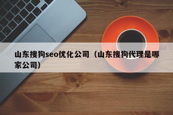 山东搜狗seo优化公司(山东搜狗代理是哪家公司)