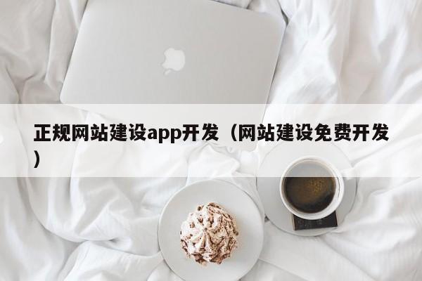 正规网站建设app开发(网站建设免费开发)