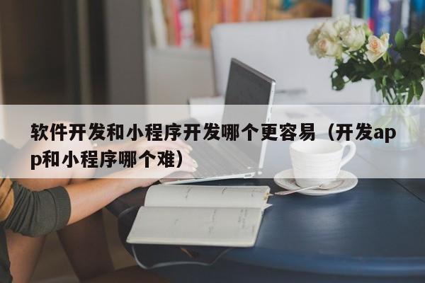 软件开发和小程序开发哪个更容易(开发app和小程序哪个难)
