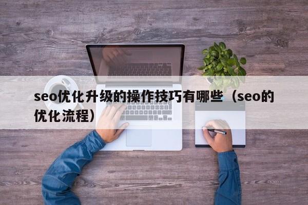 seo优化升级的操作技巧有哪些(seo的优化流程)