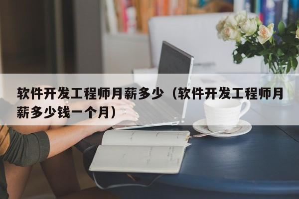 软件开发工程师月薪多少(软件开发工程师月薪多少钱一个月)