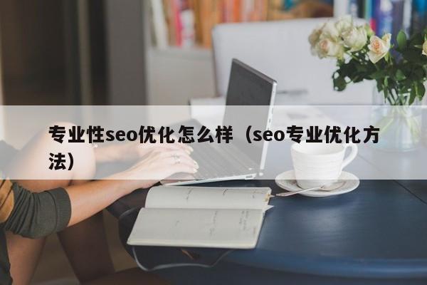 专业性seo优化怎么样(seo专业优化方法)