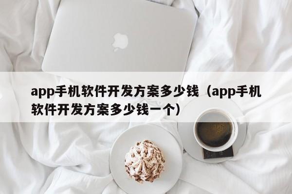 app手机软件开发方案多少钱(app手机软件开发方案多少钱一个)