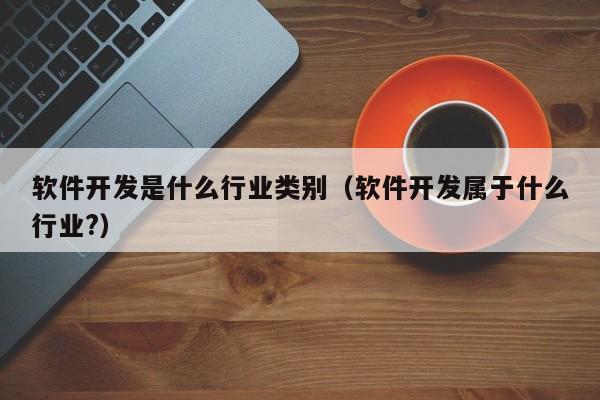 软件开发是什么行业类别(软件开发属于什么行业?)