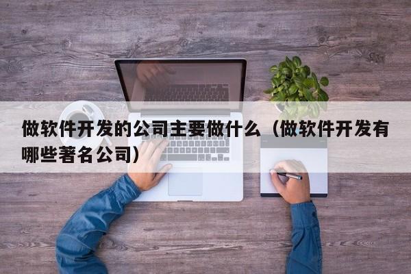 做软件开发的公司主要做什么(做软件开发有哪些著名公司)