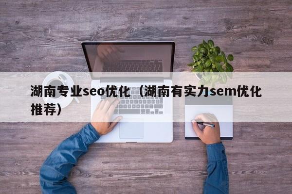 湖南专业seo优化(湖南有实力sem优化推荐)
