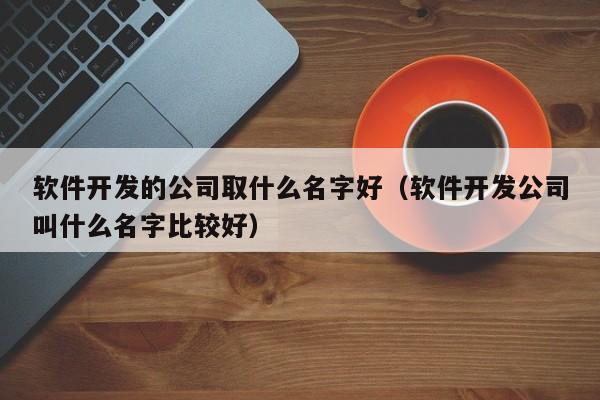 软件开发的公司取什么名字好(软件开发公司叫什么名字比较好)