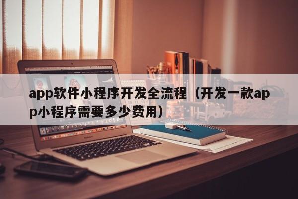 app软件小程序开发全流程(开发一款app小程序需要多少费用)