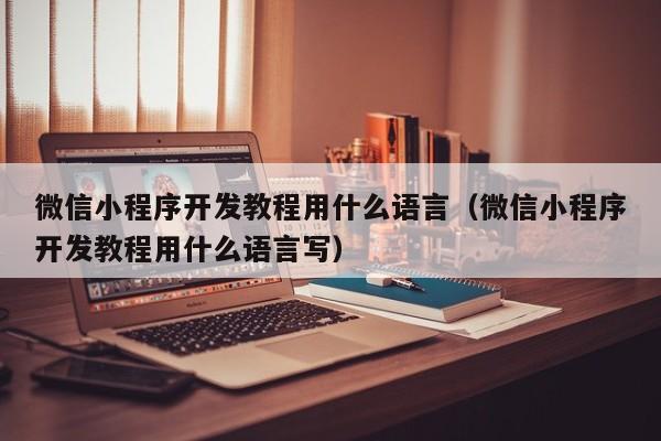 微信小程序开发教程用什么语言(微信小程序开发教程用什么语言写)