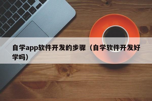 自学app软件开发的步骤(自学软件开发好学吗)
