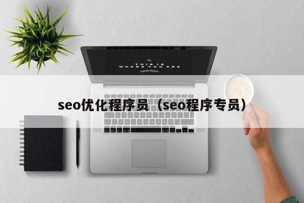 seo优化程序员(seo程序专员)