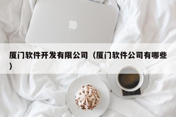 厦门软件开发有限公司(厦门软件公司有哪些)