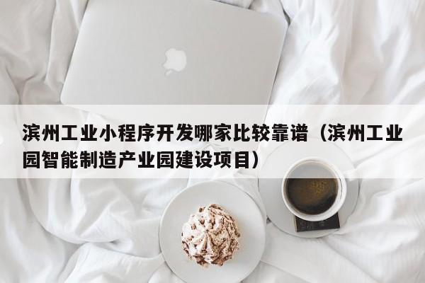 滨州工业小程序开发哪家比较靠谱(滨州工业园智能制造产业园建设项目)