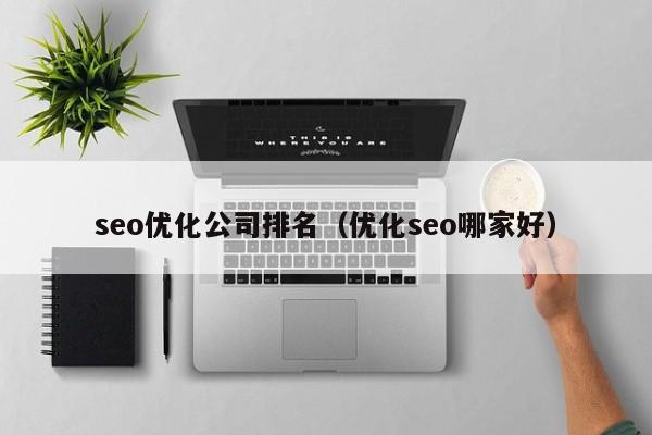 seo优化公司排名(优化seo哪家好)