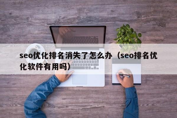 seo优化排名消失了怎么办(seo排名优化软件有用吗)