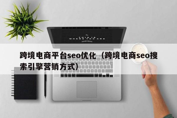 跨境电商平台seo优化(跨境电商seo搜索引擎营销方式)
