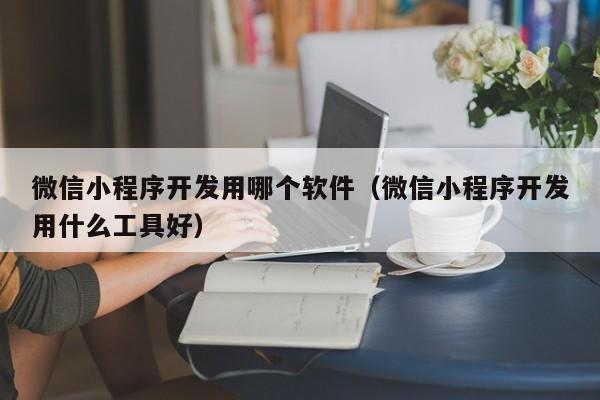 微信小程序开发用哪个软件(微信小程序开发用什么工具好)