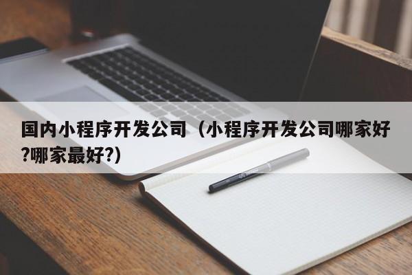国内小程序开发公司(小程序开发公司哪家好?哪家最好?)