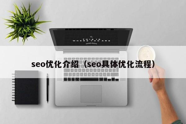 seo优化介绍(seo具体优化流程)