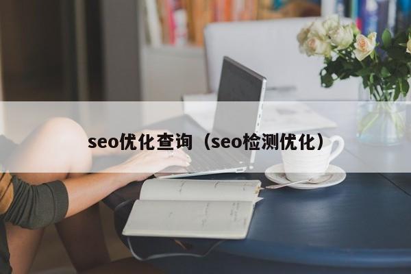 seo优化查询(seo检测优化)