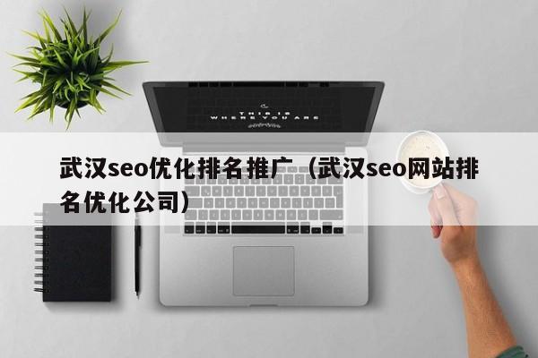 武汉seo优化排名推广(武汉seo网站排名优化公司)