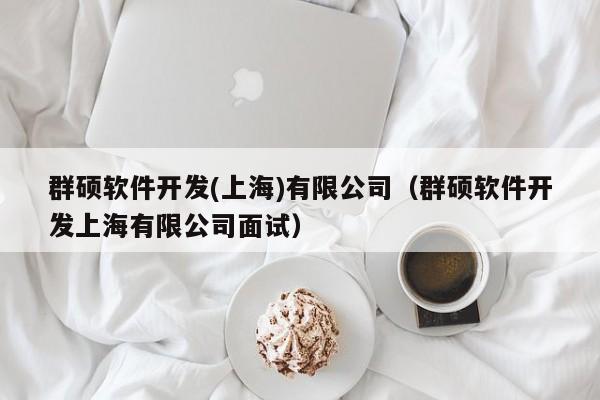 群硕软件开发(上海)有限公司(群硕软件开发上海有限公司面试)