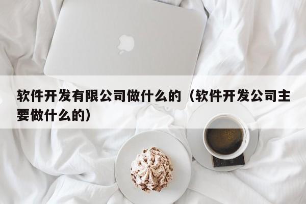 软件开发有限公司做什么的(软件开发公司主要做什么的)