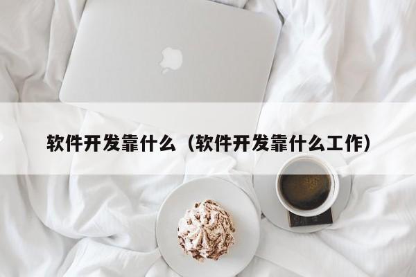 软件开发靠什么(软件开发靠什么工作)