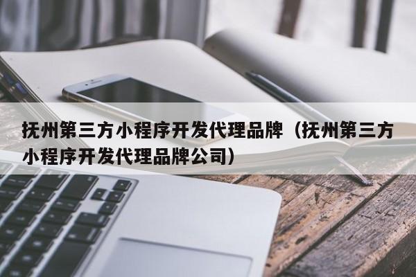 抚州第三方小程序开发代理品牌(抚州第三方小程序开发代理品牌公司)