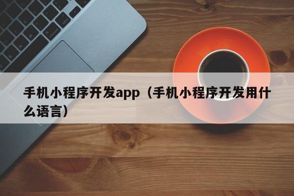 手机小程序开发app(手机小程序开发用什么语言)