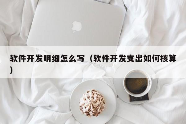 软件开发明细怎么写(软件开发支出如何核算)