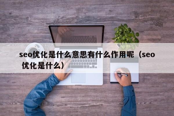 seo优化是什么意思有什么作用呢(seo 优化是什么)