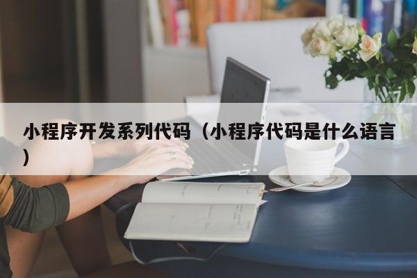 小程序开发系列代码(小程序代码是什么语言)