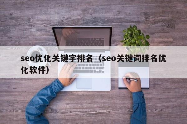 seo优化关键字排名(seo关键词排名优化软件)